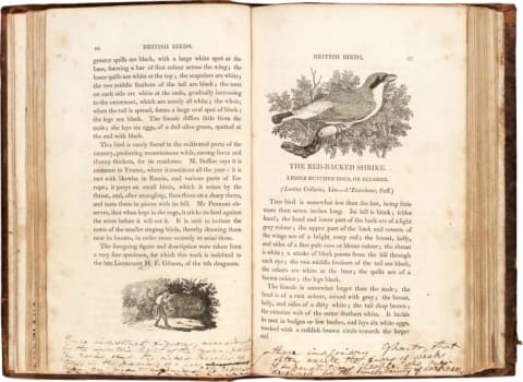 The family edition of A History of British Birds, annotated by father Patrick Brontë.