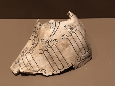 The original of this replica conch shell, engraved with pictures of armadillos and dating from 1200-1350 CE, was used in religious ceremonies at the Spiro Mounds site.