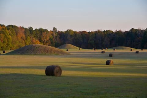 The Pharr Mounds, along the Natchez Trace in Mississippi, were built in the 1st or 2nd century CE.