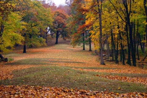 At Effigy Mounds National Monument, the Marching Bear Mounds are shaped like a parade of bears.