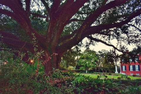 Rosalie Mansion in Natchez National Historical Park.