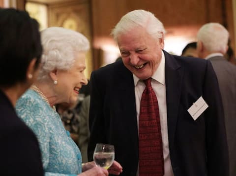 Queen Elizabeth II and Sir David Attenborough attend a reception at Buckingham Palace on November 15, 2016 in London.