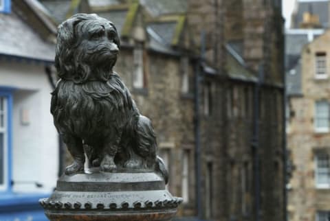 Greyfriars Bobby.