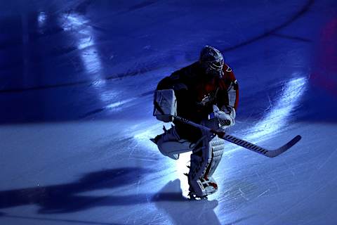 Braden Holtby, Washington Capitals (Photo by Elsa/Getty Images)