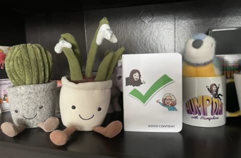 Plush plants, a "Good Content" notebook, and a "Humpday with Hampshire" mug.