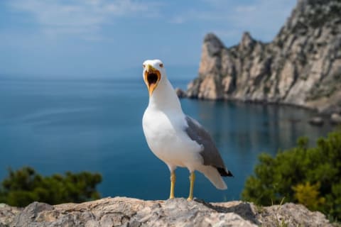 "So now it's a crime to love pastries and chips?"