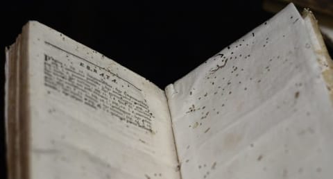 A book showing evidence of bookworms.