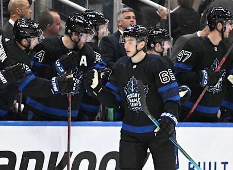 Toronto Maple Leafs forward Ilya Mikheyev (65): Dan Hamilton-USA TODAY Sports