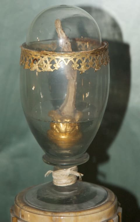 Galileo's finger.