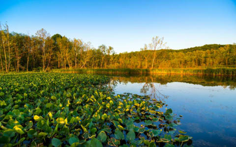 With views like this, it's easy to see why Cuyahoga National Park is popular.