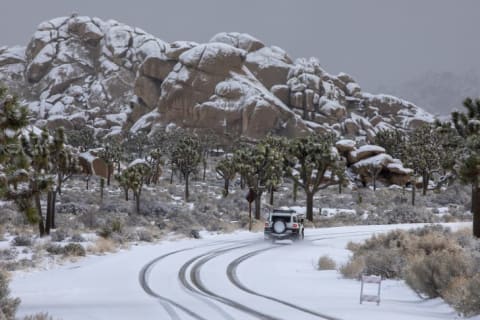 Snow blankets Joshua Tree National Park in February 2019.