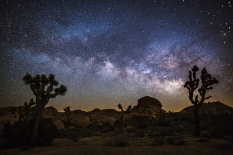 The night sky at Joshua Tree National Park is a stunning sight, aliens or not.