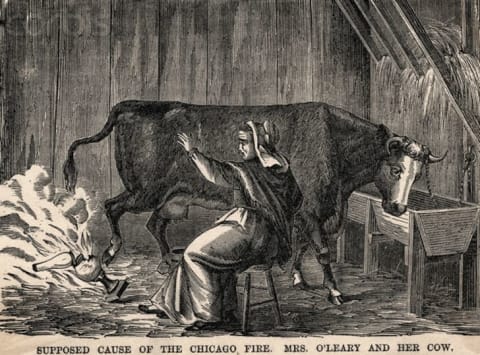 An illustration of Mrs. O'Leary and her cow for Harper's Magazine.