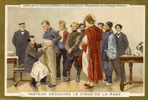 Louis Pasteur discovers the rabies vaccine.