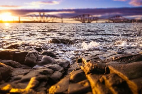 The oyster-free Firth of Forth, Scotland