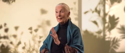 Give the gift of learning from experts like Dr. Jane Goodall. 