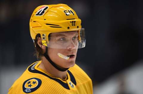 Nashville Predators (Photo Credit: Christopher Hanewinckel-USA TODAY Sports)