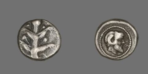 Coin depicting Silphium plant, circa 480 to 435 BCE.