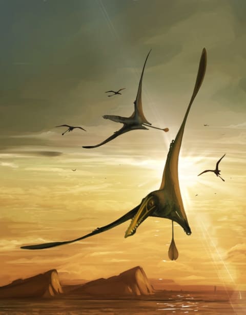 A depiction of the Pterosaur.