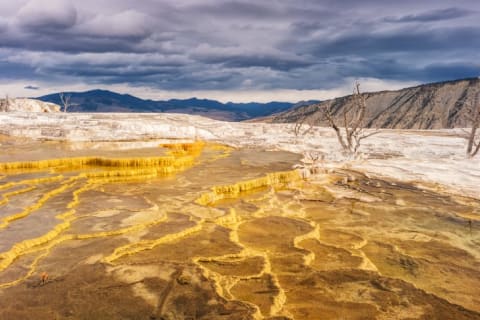 Mammoth Hot Springs in Yellowstone National Park.