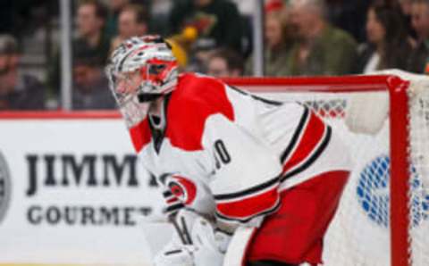 Carolina Hurricanes goalie Cam Ward (30) in the second period against the Minnesota Wild (Brad Rempel-USA TODAY Sports)