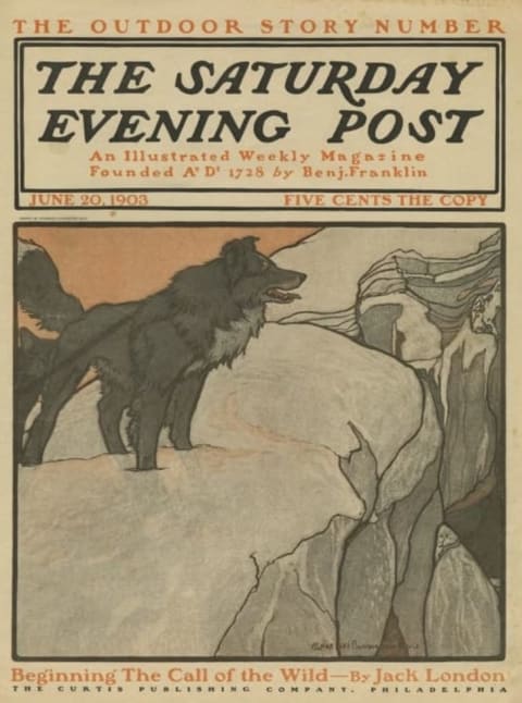 The Call of the Wild in The Saturday Evening Post.