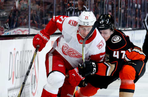 ANAHEIM, CA – MARCH 16: Dylan Larkin #71 of the Detroit Red Wings battles for the puck against Hampus Lindholm #47 of the Anaheim Ducks during the game on March 16, 2018, at Honda Center in Anaheim, California. (Photo by Debora Robinson/NHLI via Getty Images)