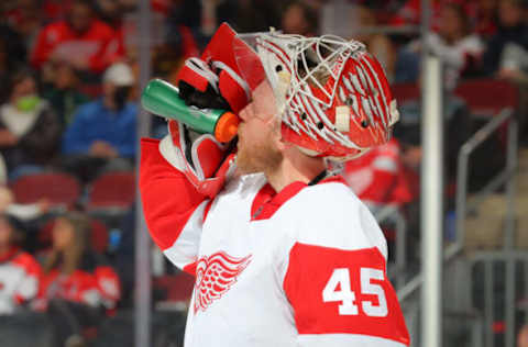 Detroit Red Wings, Magnus Hellberg #45. (Photo by Rich Graessle/Getty Images)