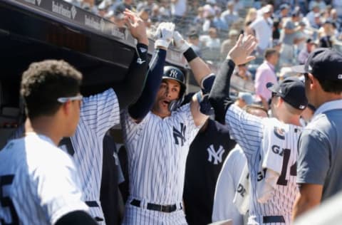 NEW YORK, NY – JUNE 16: Giancarlo Stanton #27 of the New York Yankees celebrates his fifth inning home run against the Tampa Bay Rays with his teammates in the dugout at Yankee Stadium on June 16, 2018 in the Bronx borough of New York City. (Photo by Jim McIsaac/Getty Images)