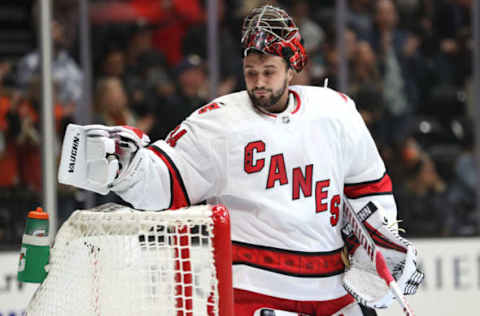 ANAHEIM, CALIFORNIA – OCTOBER 18: Petr Mrazek #34 of the Carolina Hurricanes looks on after Troy Terry #61 of the Anaheim Ducks scored a goal against him during the first period at Honda Center on October 18, 2019 in Anaheim, California. (Photo by Sean M. Haffey/Getty Images)