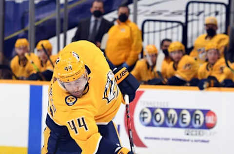 Nashville Predators(Photo Credit: Christopher Hanewinckel-USA TODAY Sports)