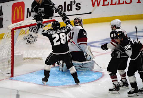 LA Kings (Mandatory Credit: Gary A. Vasquez-USA TODAY Sports)