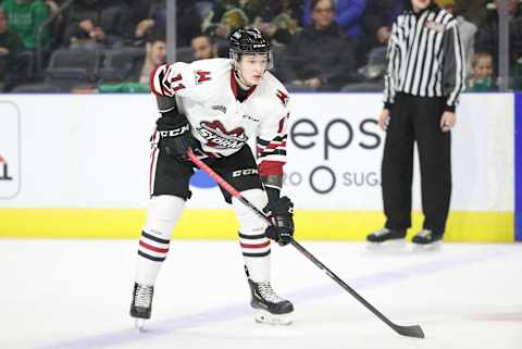 Vegas Golden Knights prospect, Daniil Chayka. (Photo by Tom Szczerbowski/Getty Images)