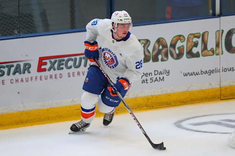 New York Islanders defenseman Sebastian Aho (28) (Photo by Rich Graessle/Icon Sportswire via Getty Images)