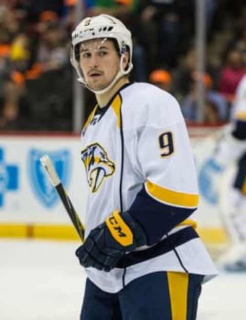 Nov 5, 2015; Saint Paul, MN, USA; Nashville Predators forward 