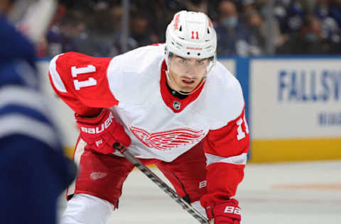 Filip Zadina #11, Detroit Red Wings (Photo by Claus Andersen/Getty Images)