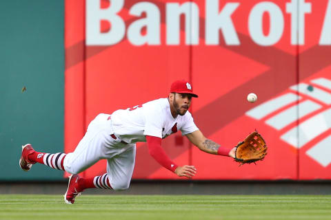 ST. LOUIS, MO – JUNE 23: Tommy Pham