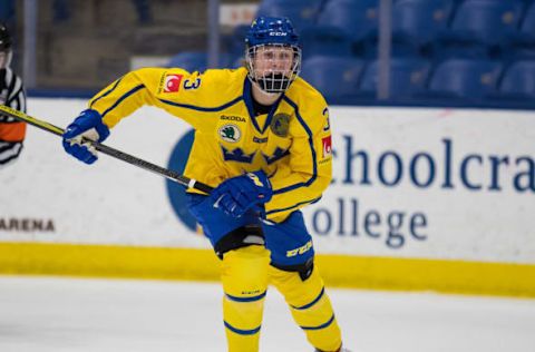 PLYMOUTH, MI – FEBRUARY 15: Adam Boqvist #3 of the Sweden Nationals skates up ice against the Finland Nationals during the 2018 Under-18 Five Nations Tournament game at USA Hockey Arena on February 15, 2018 in Plymouth, Michigan. (Photo by Dave Reginek/Getty Images)