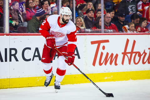 Nick Leddy (2)Mandatory Credit: Sergei Belski-USA TODAY Sports