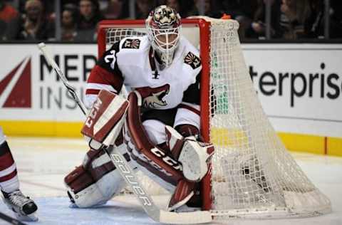 February 5, 2016; Anaheim, CA, USA; Arizona Coyotes goalie Anders Lindback (29) defends the goal against Anaheim Ducks during the second period at Honda Center. Mandatory Credit: Gary A. Vasquez-USA TODAY Sports