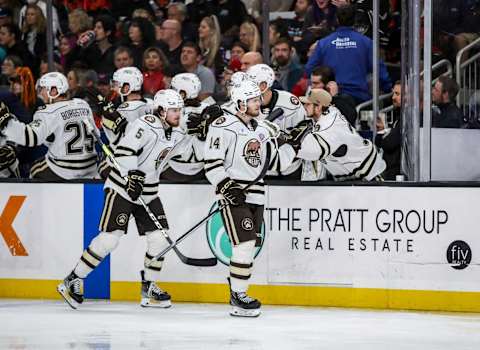 Connor McMichael, Hershey Bears