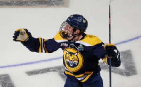 TAMPA, FL – APRIL 8: Collin Graf #11 of the Quinnipiac Bobcats celebrates his goal in the final 2:37 of regulation to tie the game at two against the Minnesota Golden Gophers during the 2023 NCAA Division I Men’s Hockey Frozen Four Championship Final at the Amalie Arena on April 8, 2023, in Tampa, Florida. The Bobcats won 3-2 on a goal ten seconds into overtime. (Photo by Richard T Gagnon/Getty Images)