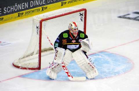 Jan 2, 2016; Dusseldorf, Germany; Dusseldorfer EG goalie Mathias Niederberger (35) guards the net against the Straubing Tigers during the second period at the ISS Dome. Dusseldorfer EG won 2-1. Mandatory Credit: Janik Beichler – NRW Hockey