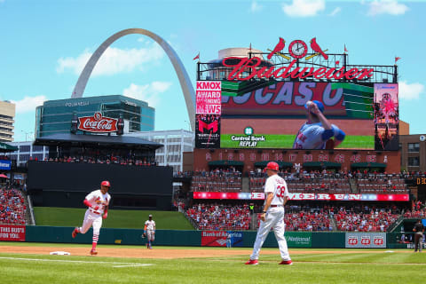 ST. LOUIS, MO – JULY 9: Tommy Pham