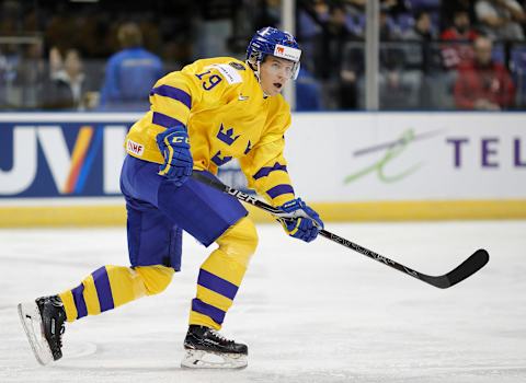 Filip Hallander, one of the latest acquisitions of the Toronto Maple Leafs (Photo by Kevin Light/Getty Images)