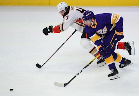 LA Kings (Mandatory Credit: Gary A. Vasquez-USA TODAY Sports)