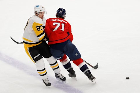 Garnet Hathaway, Washington Capitals Mandatory Credit: Geoff Burke-USA TODAY Sports