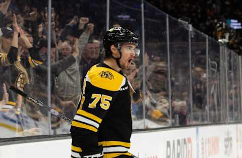 BOSTON, MA – NOVEMBER 10: Connor Clifton #75 of the Boston Bruins celebrates his goal against the Calgary Flames during the first period at the TD Garden on November 10, 2022, in Boston, Massachusetts. (Photo by Rich Gagnon/Getty Images)