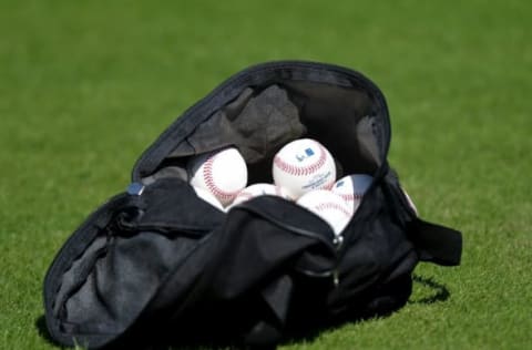 Feb 20, 2015; Jupiter, FL, USA; A bag of MLB baseball