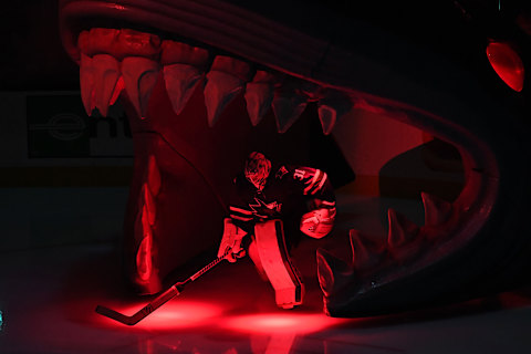 Martin Jones #31 of the San Jose Sharks. (Photo by Thearon W. Henderson/Getty Images)